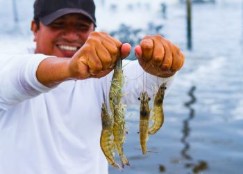 Perú supera auditorías sanitarias de la Comisión Europea y asegura continuidad de exportaciones pesqueras y acuícolas a la UE