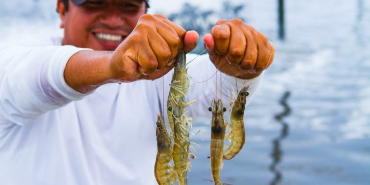 Perú supera auditorías sanitarias de la Comisión Europea y asegura continuidad de exportaciones pesqueras y acuícolas a la UE