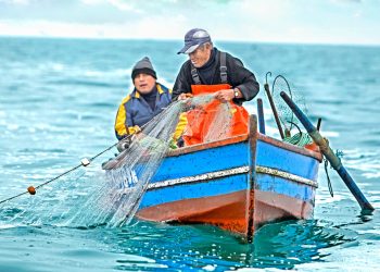 Tacna: Sanipes entrega 50 habilitaciones sanitarias a embarcaciones artesanales fortaleciendo la formalización pesquera