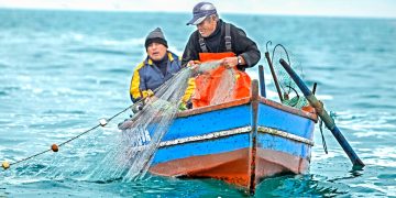 Tacna: Sanipes entrega 50 habilitaciones sanitarias a embarcaciones artesanales fortaleciendo la formalización pesquera