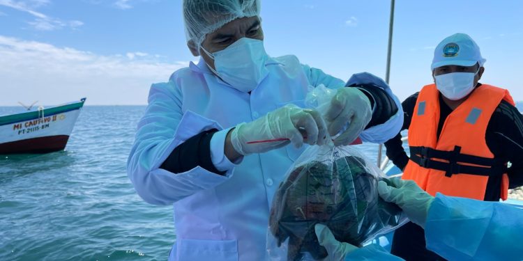 PRODUCE optimiza la gestión sanitaria de moluscos bivalvos para proteger la salud pública y fortalecer la competitividad del sector