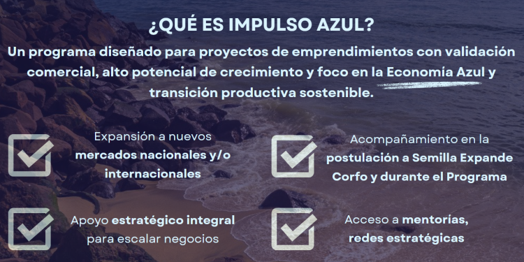 Chrysalis PUCV lanza “Impulso Azul”, programa para potenciar emprendimientos de la Economía Azul en Valparaíso
