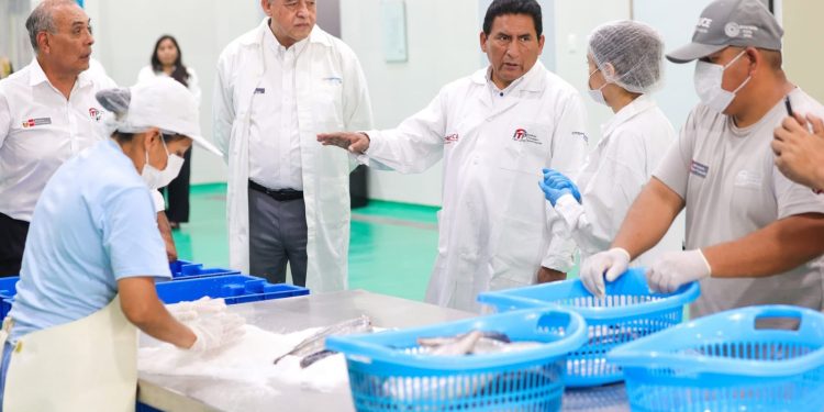 PRODUCE fortalece la cadena pesquera y acuícola con impulso tecnológico y control sanitario en el Callao