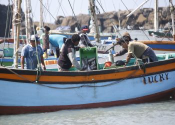 PRODUCE fortalece la cadena pesquera y acuícola con impulso tecnológico y control sanitario en el Callao
