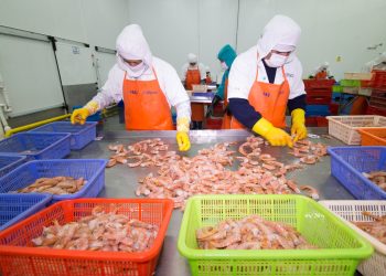 Se prepublicó el reglamento de sanciones de Sanipes que fortalece el cumplimiento de normas sanitarias en pesca y acuicultura