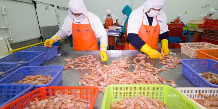 Se prepublicó el reglamento de sanciones de Sanipes que fortalece el cumplimiento de normas sanitarias en pesca y acuicultura