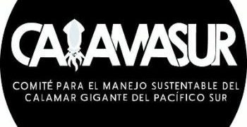 CALAMASUR advierte sobre la pesca sin límites del calamar gigante en el Pacífico Sur y llama a una gestión sostenible en altamar