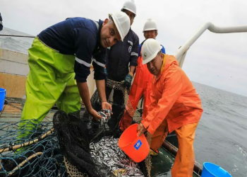 Exalmar entra en una nueva etapa tras sumar a Pesquera Centinela y traza metas para 2026