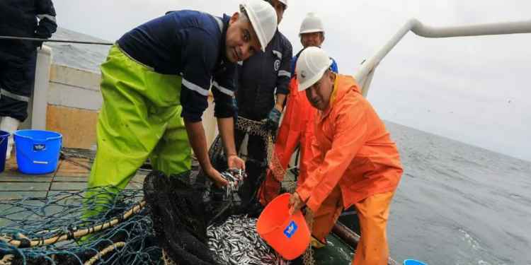 Exalmar entra en una nueva etapa tras sumar a Pesquera Centinela y traza metas para 2026