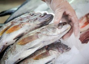 Sanipes refuerza recomendaciones para la compra segura de pescado ante el incremento de su consumo en verano