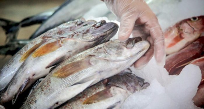 Sanipes refuerza recomendaciones para la compra segura de pescado ante el incremento de su consumo en verano