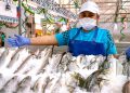 Sanipes refuerza recomendaciones para la compra segura de pescado ante el incremento de su consumo en verano
