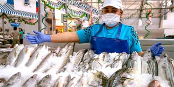 Sanipes refuerza recomendaciones para la compra segura de pescado ante el incremento de su consumo en verano
