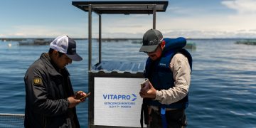 Vitapro implementa estaciones de monitoreo de calidad de agua en el lago Titicaca para apoyar a truchicultores de Puno