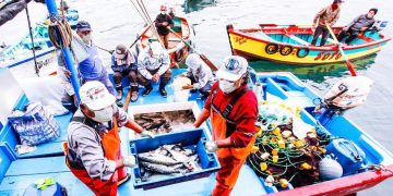 Exportaciones pesqueras superan los US$ 1214 millones en primer trimestre impulsadas por mayor certificación sanitaria