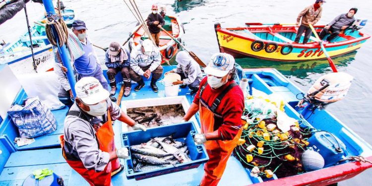 Exportaciones pesqueras superan los US$ 1214 millones en primer trimestre impulsadas por mayor certificación sanitaria