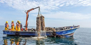 PRODUCE fortalece la pesca y acuicultura formal con más de 1,300 habilitaciones sanitarias