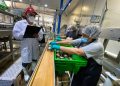 PRODUCE: emisión de registros sanitarios crece 27.9% e impulsa la comercialización segura de productos hidrobiológicos